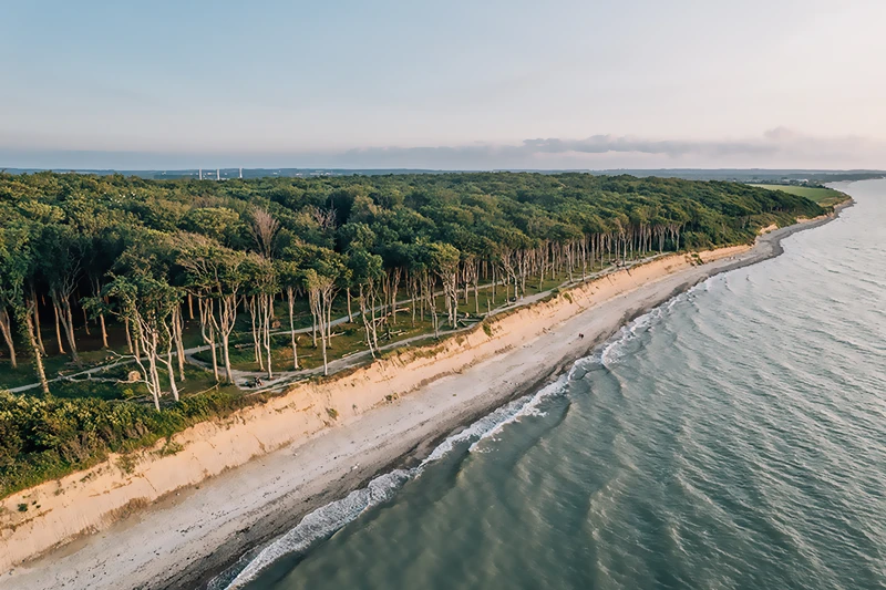 Gespensterwald Nienhagen