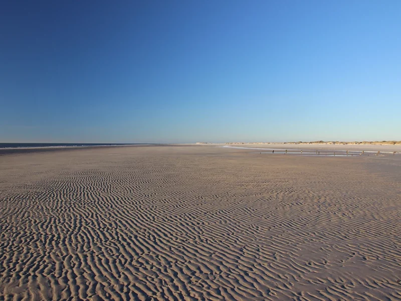 Nationalpark Wattenmeer Erlebnis (Norderney)